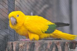 ZooParc de Beauval