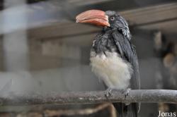 Vogelpark Irgenöd
