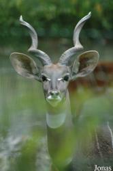 Zoo Schmiding