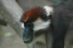 Zoo Schmiding