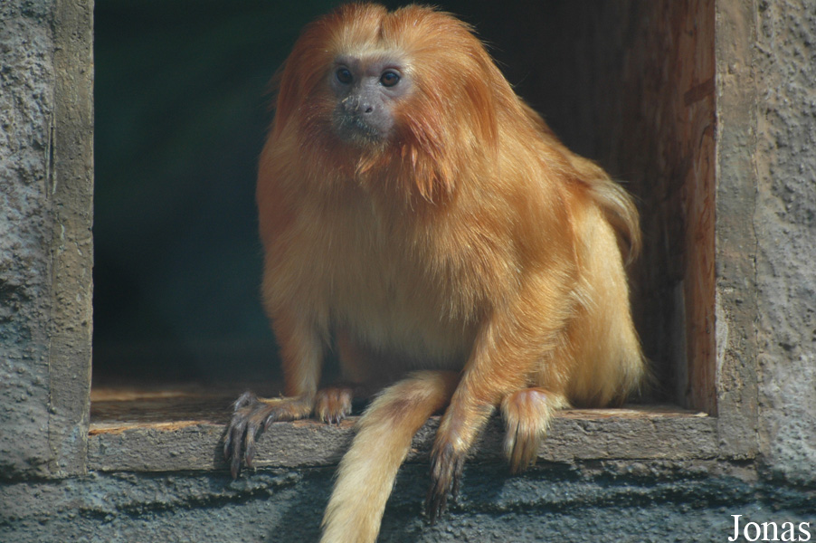 Zoologická Zahrada Ohrada