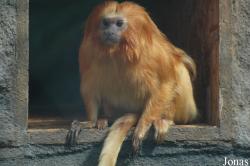 Zoologická Zahrada Ohrada