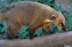 Zoologická Zahrada Ohrada