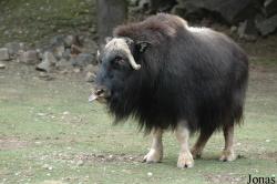 Zoologická a botanická zahrada města Plzně
