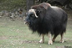 Zoologická a botanická zahrada města Plzně