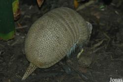 Zoologická a botanická zahrada města Plzně