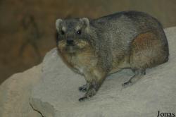 Zoologická a botanická zahrada města Plzně