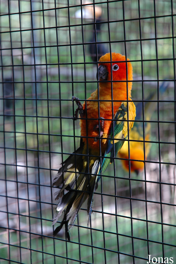 Senda El Retiro