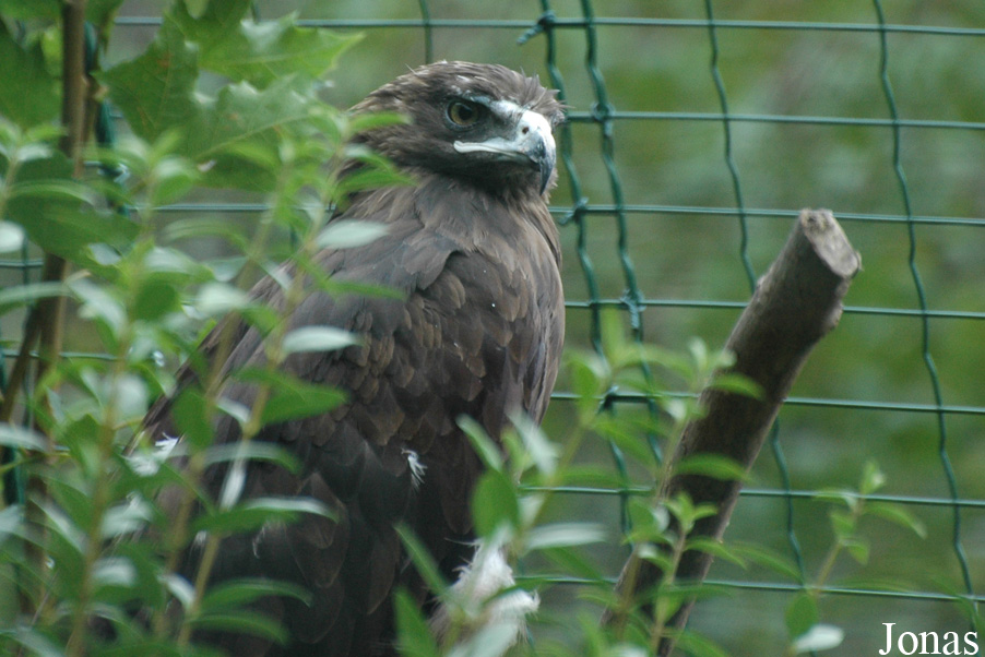 Zoologická a botanická zahrada města Plzně
