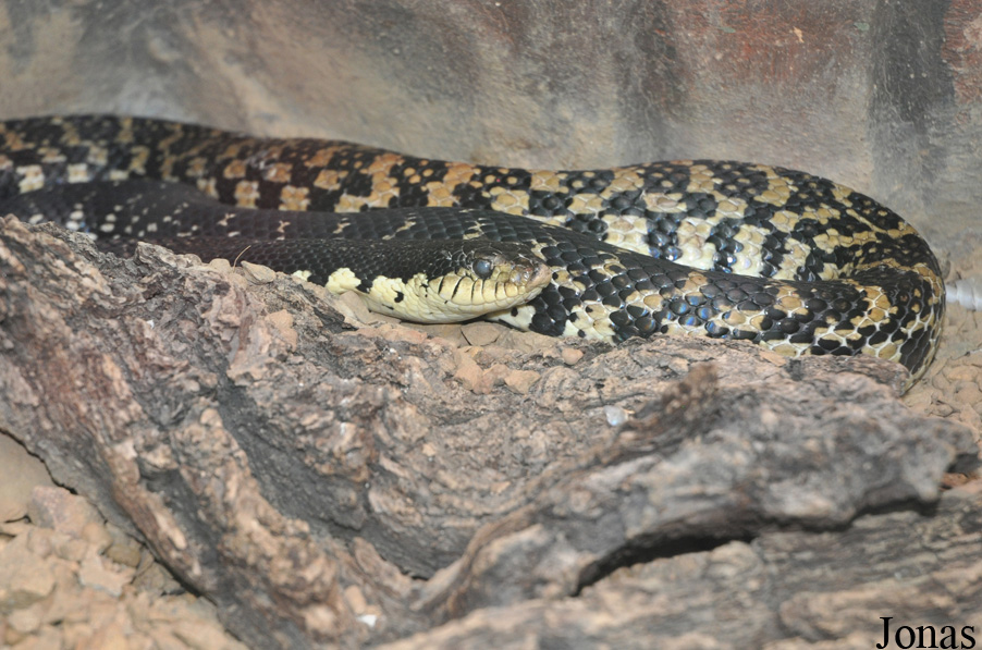 Zoologická a botanická zahrada města Plzně