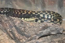 Zoologická a botanická zahrada města Plzně