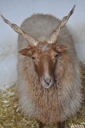 Zoo Park Vyškov