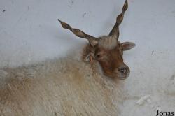 Zoo Park Vyškov