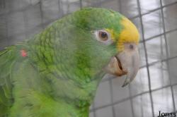 Vogelpark Turnersee