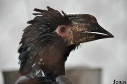 Vogelpark Turnersee
