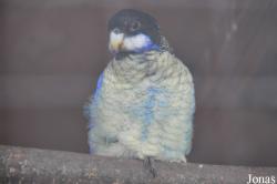 Vogelpark Turnersee
