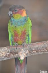 Vogelpark Turnersee
