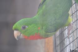 Vogelpark Turnersee