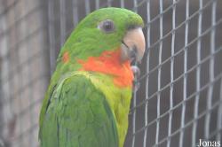 Vogelpark Turnersee