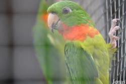 Vogelpark Turnersee