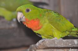 Vogelpark Turnersee