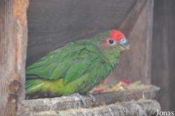 Vogelpark Turnersee