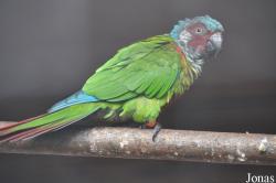 Vogelpark Turnersee