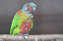 Vogelpark Turnersee