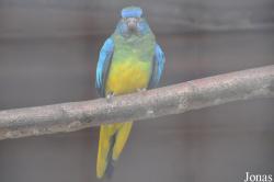 Vogelpark Turnersee