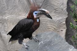 Vogelpark Turnersee