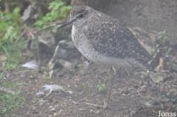 Vogelpark Turnersee