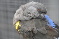Vogelpark Turnersee