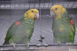 Vogelpark Turnersee