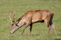 Tierpark Rosegg