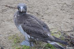 Zoo am Meer Bremerhaven