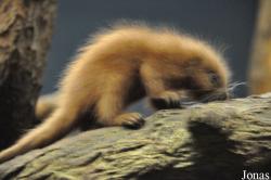 Zoo Frankfurt