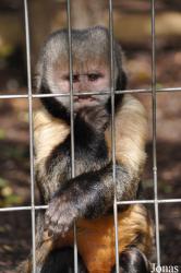 Zoo Frankfurt