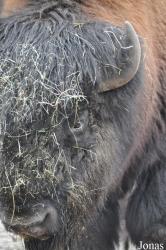 Tierpark Nordhorn