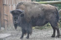 Tierpark Nordhorn