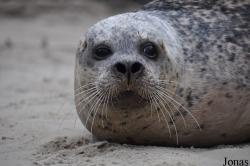 Tierpark Nordhorn