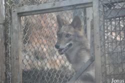 Haifa Educational Zoo