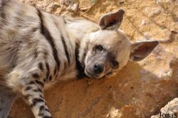 Haifa Educational Zoo