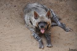 Haifa Educational Zoo