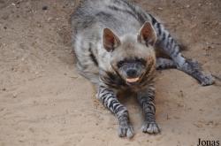 Haifa Educational Zoo