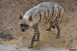 Haifa Educational Zoo