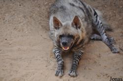 Haifa Educational Zoo