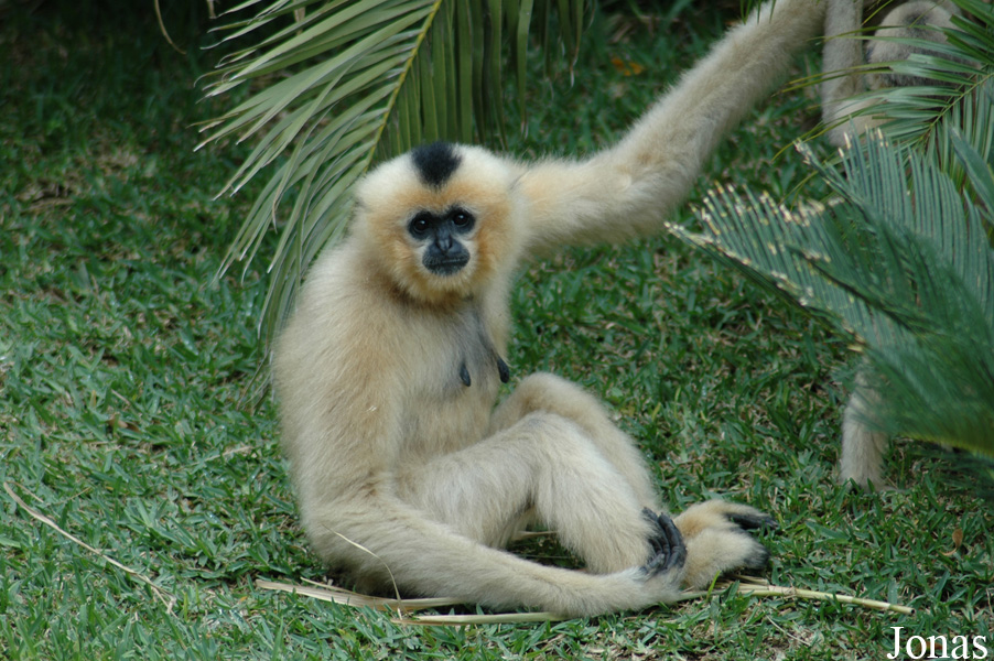Fuengirola Zoo