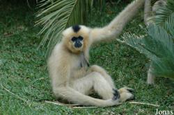 Fuengirola Zoo