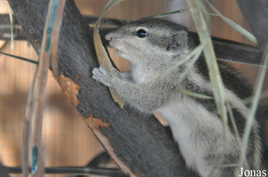 Zoo-Botanical Garden Nahariya