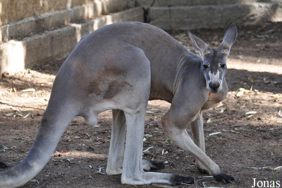 Zoo-Botanical Garden Nahariya